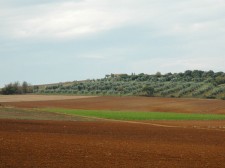 Les champs de Toscane en automne