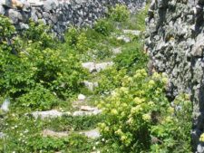 Un des nombreux sentiers de berger de Tinos