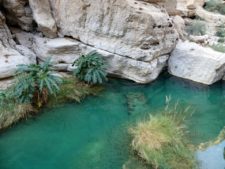 Un wadi, ou oued, point d'eau bienvenu