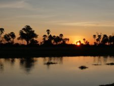 Superbe coucher de soleil sur les marais du delta