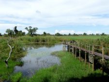 Lodge de pêche et d’observation au nord du delta de l'Okavango